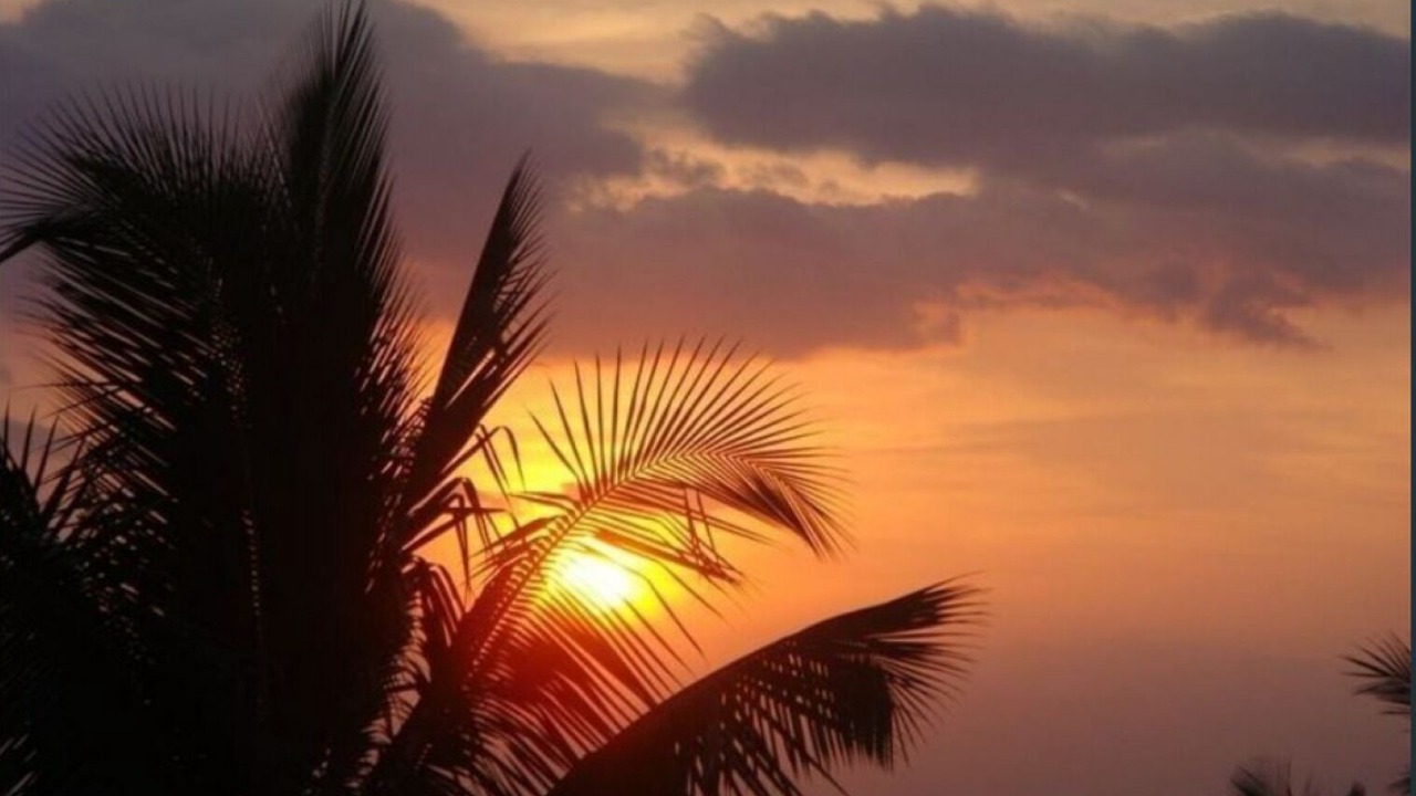 Photo of Others in Wailea