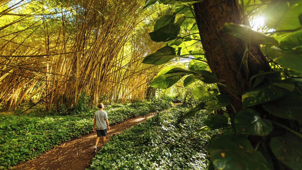 Photo of Outdoor in Poipu