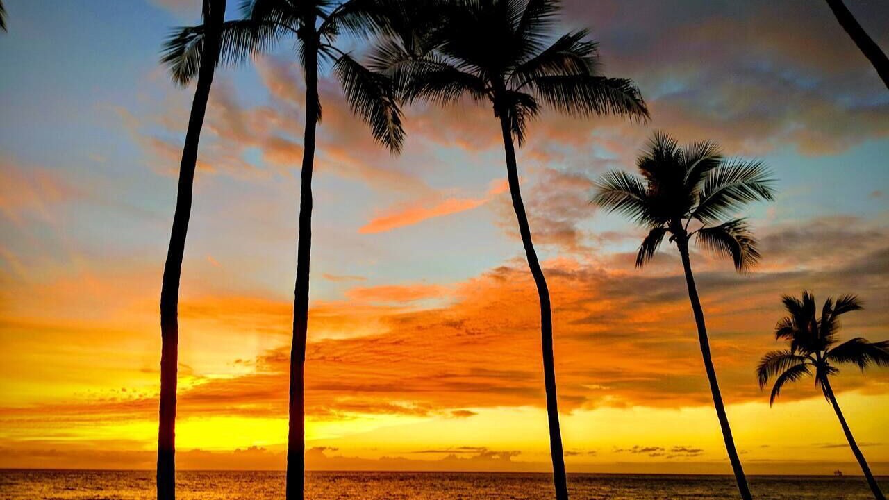 Photo of Others in Kahaluu Bay