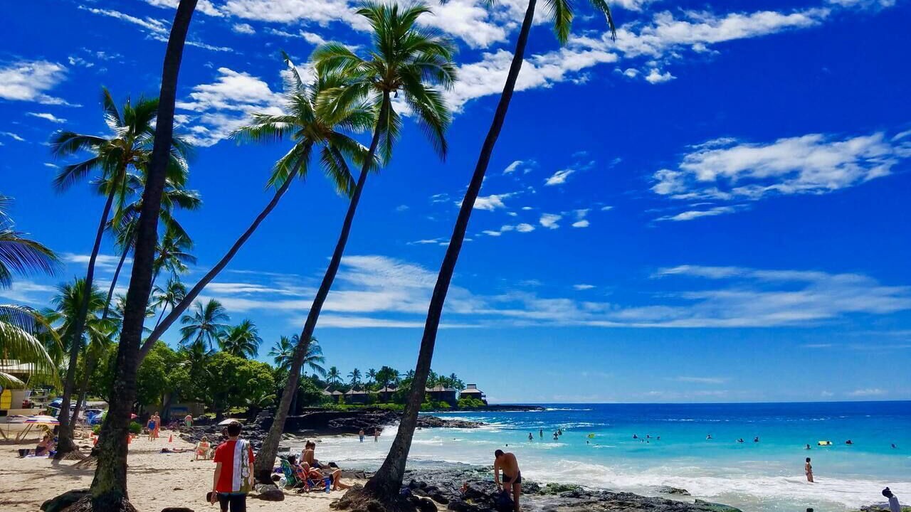 Photo of Others in Kahaluu Bay