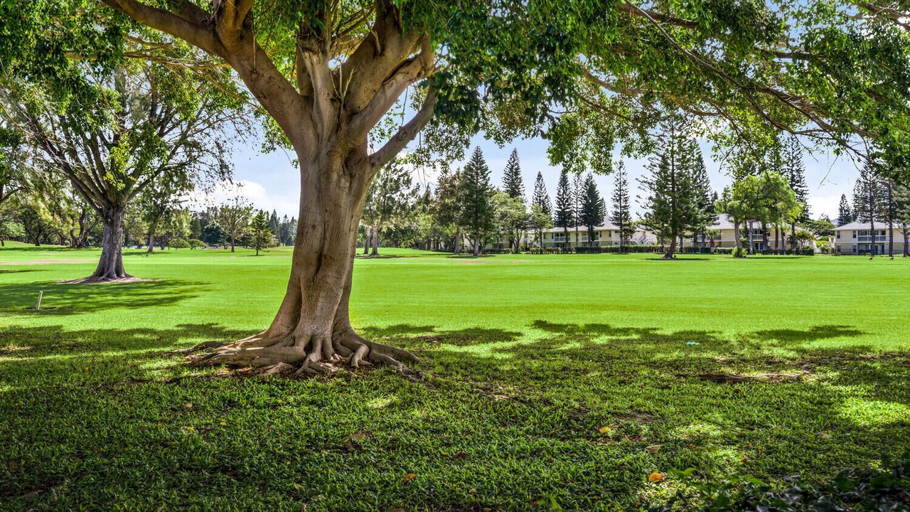 Photo of Others in Waikoloa Village