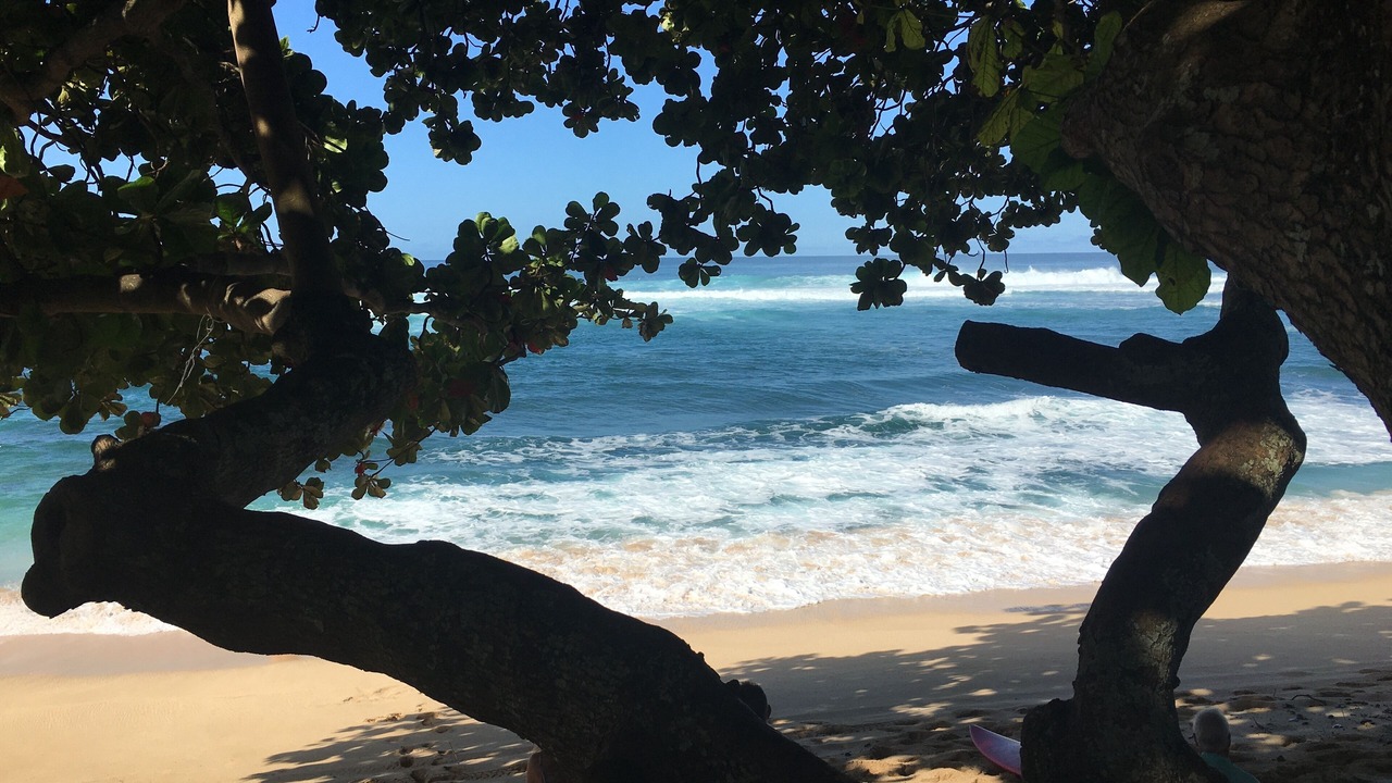 Photo of Others in Pupukea