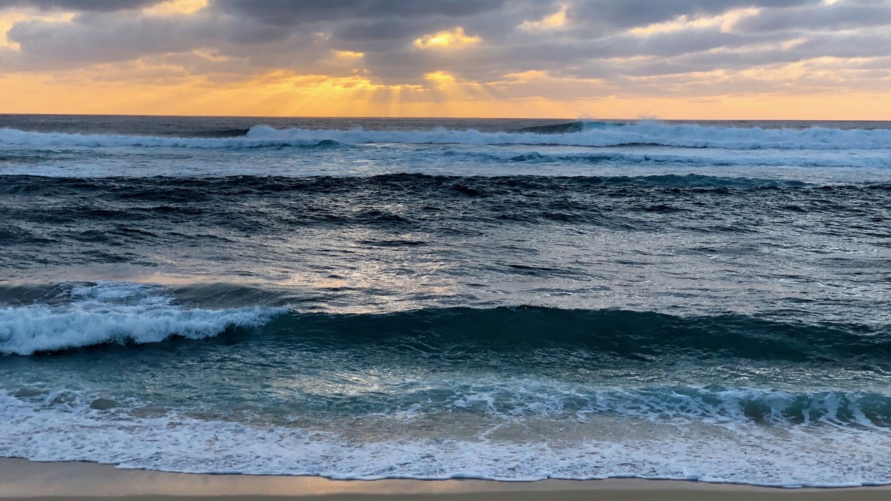 Photo of Others in Pupukea