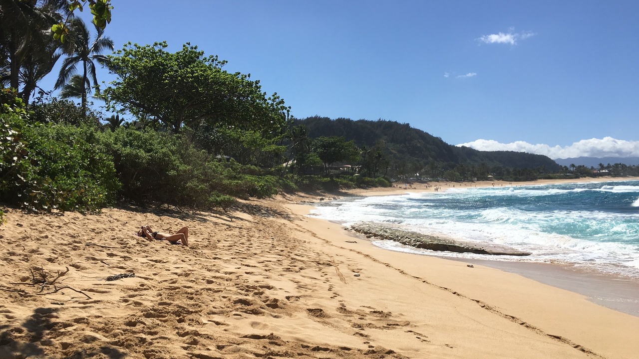 Photo of Others in Pupukea