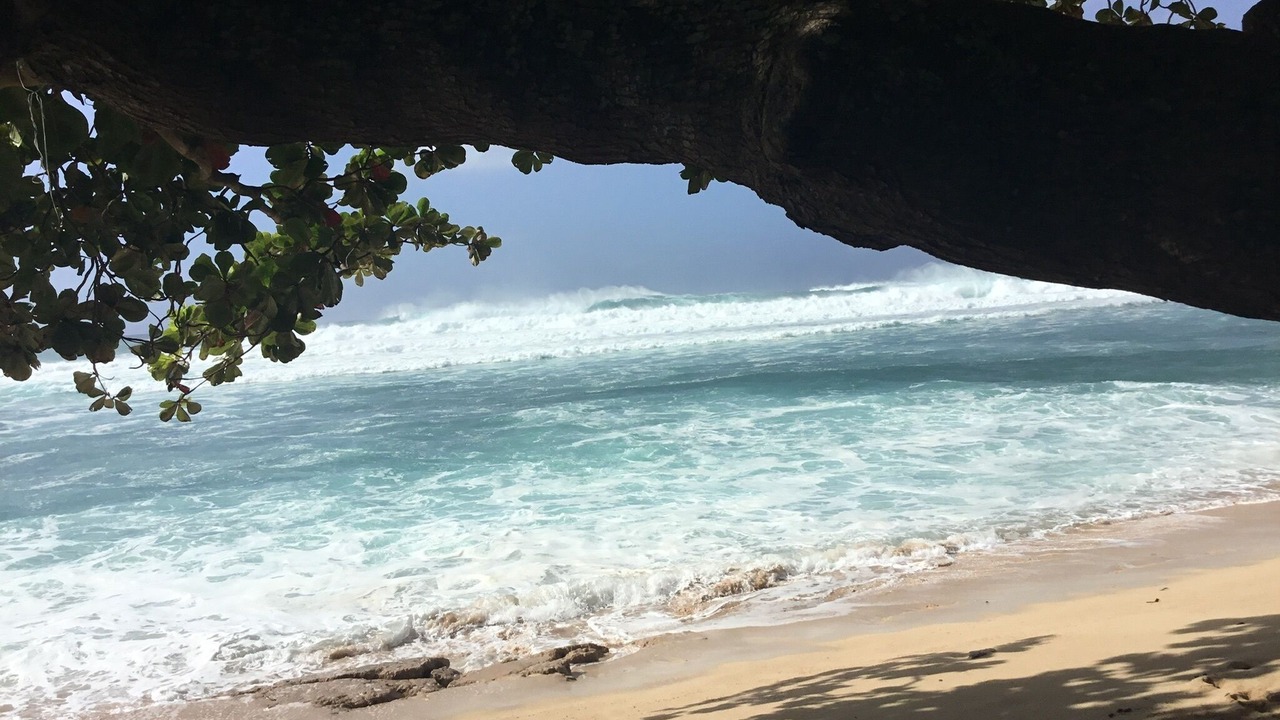 Photo of Others in Pupukea