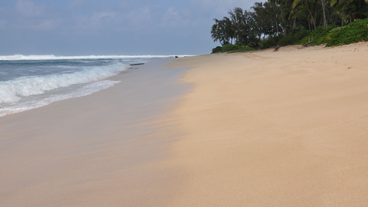Photo of Others in Pupukea