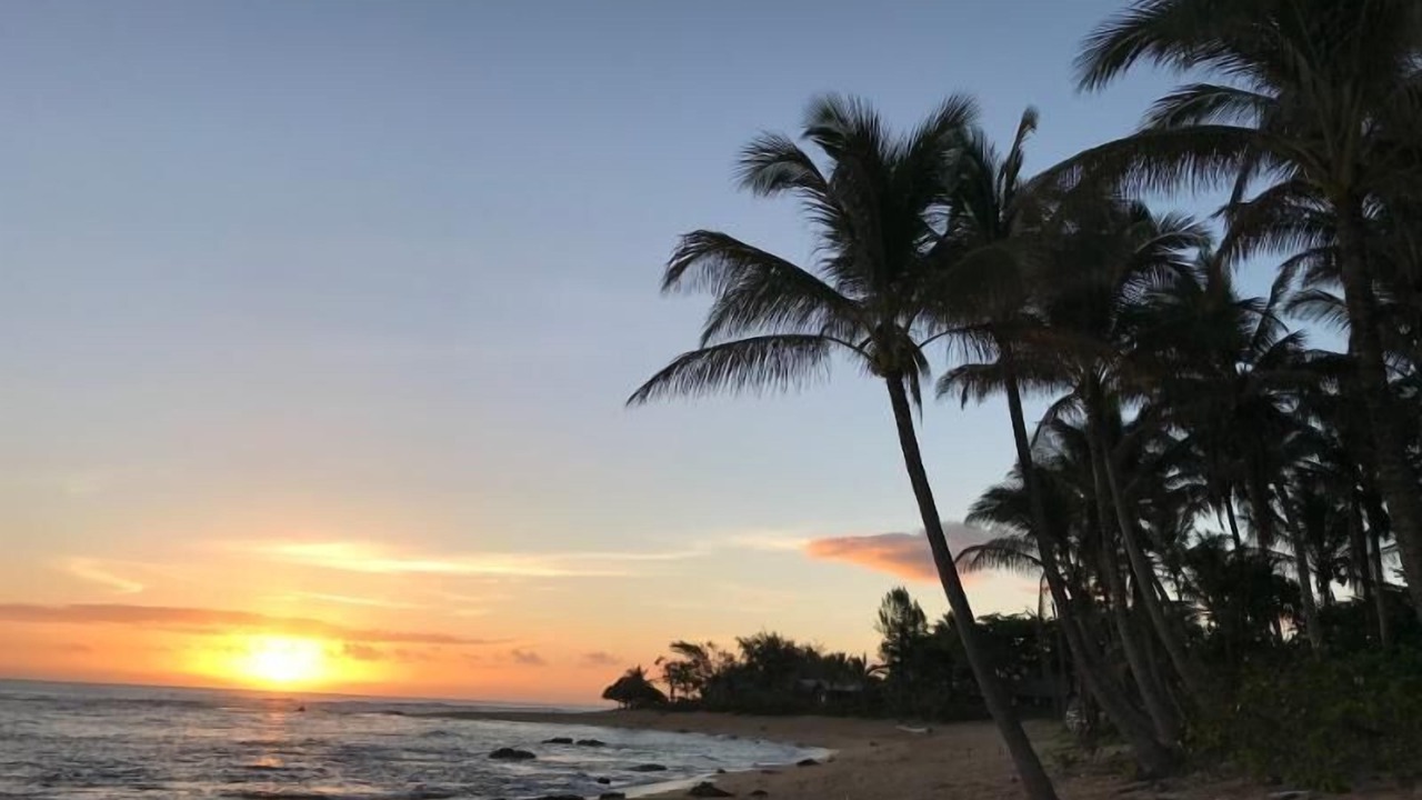 Photo of Others in Wainiha