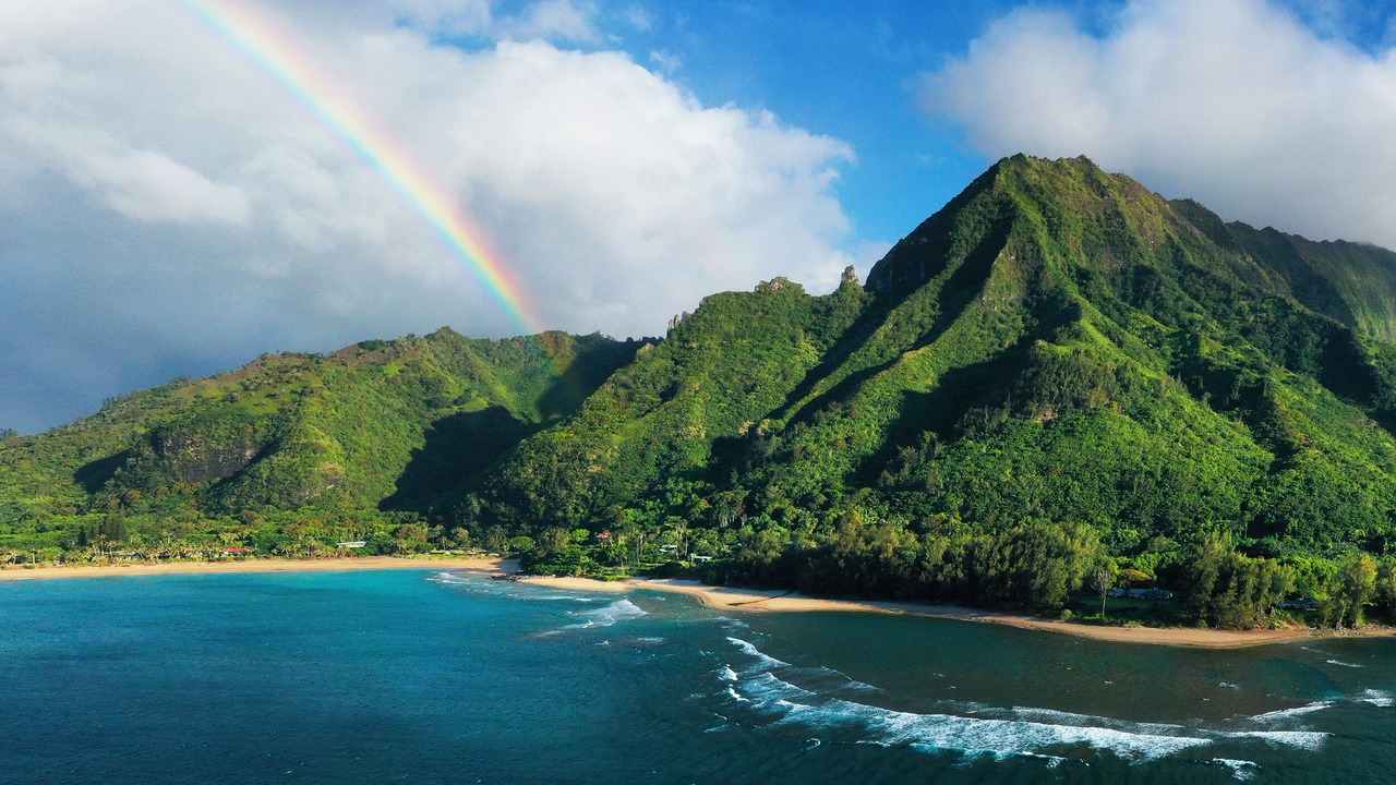 Photo of Others in Wainiha