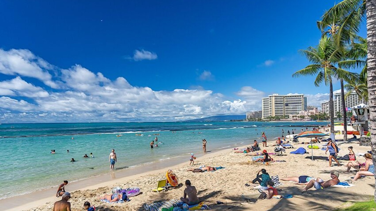 Photo of Others in McCully - Moiliili