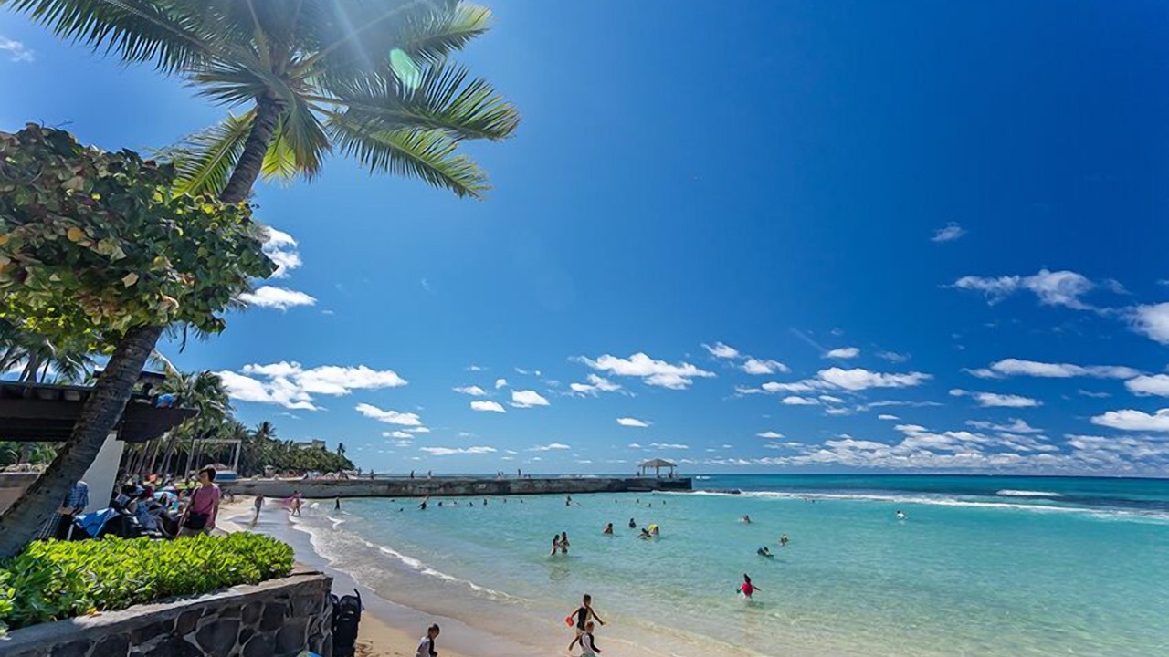 Photo of Others in McCully - Moiliili