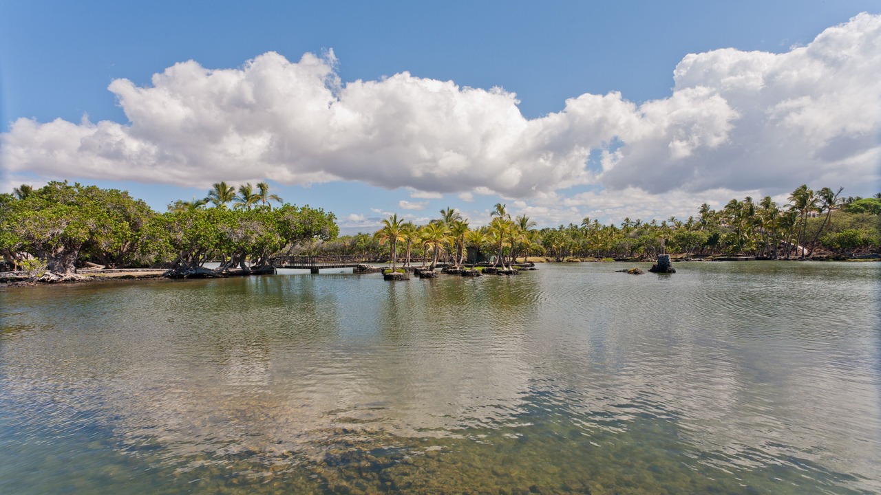 Photo of Others in Kamuela