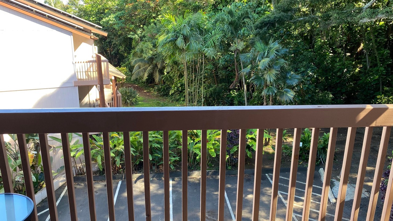 Photo of Outdoor in Nawiliwili