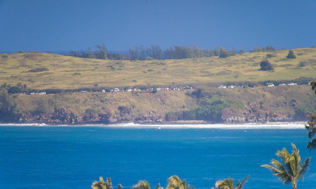 Photo of Others in Kapalua