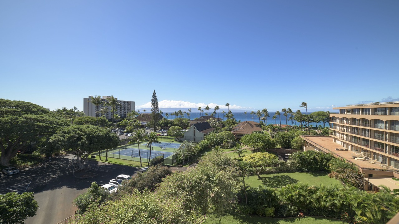 Photo of Others in Lahaina