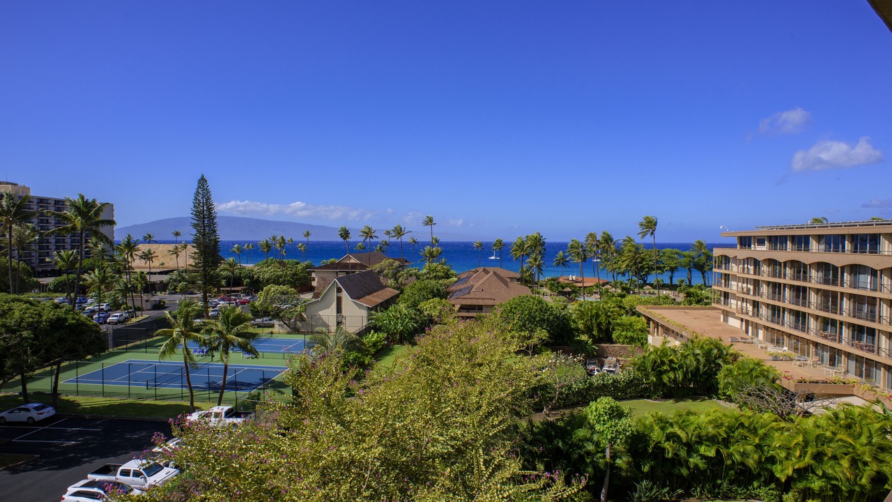 Photo of Others in Lahaina