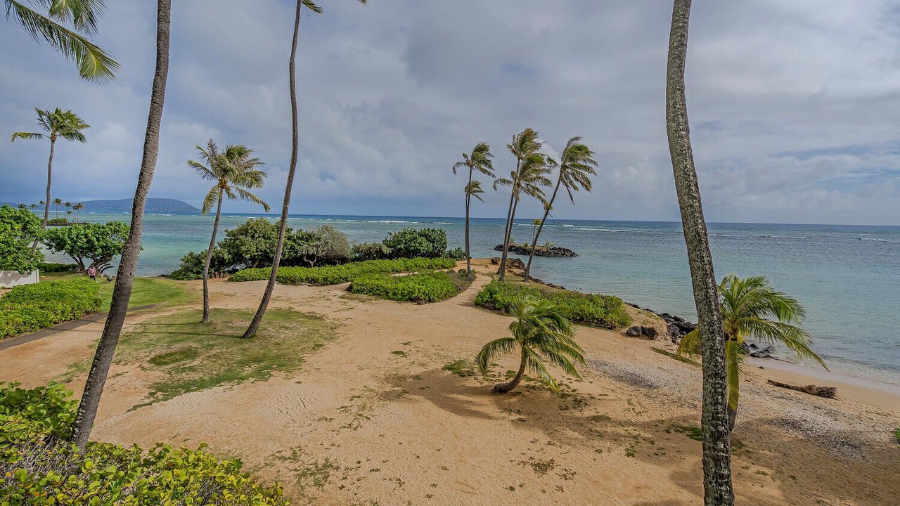 Photo of Others in Waialae Iki