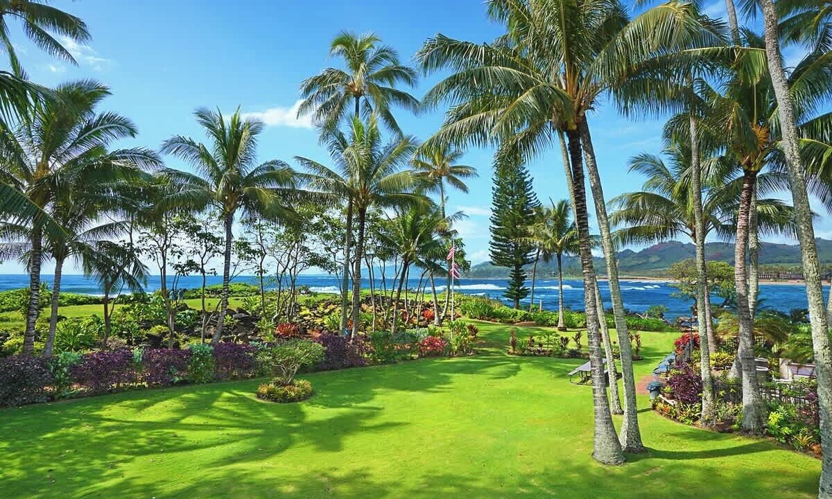 Photo of Outdoor in Wailua