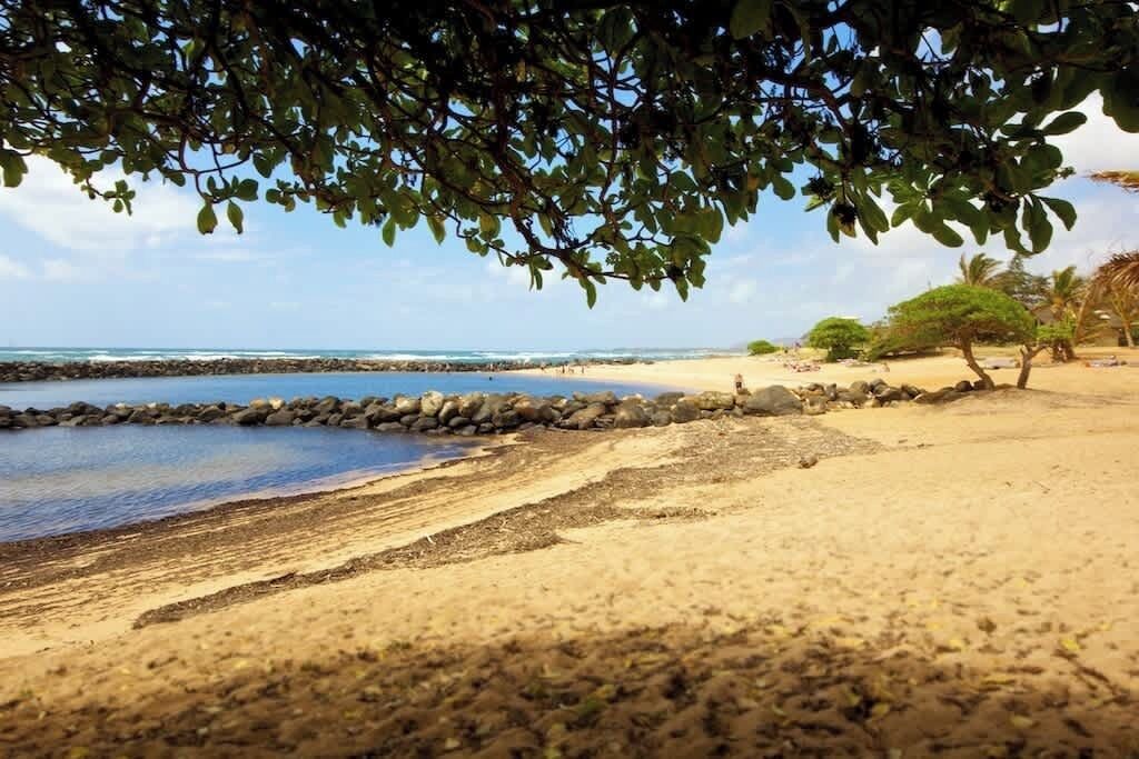 Photo of Others in Wailua