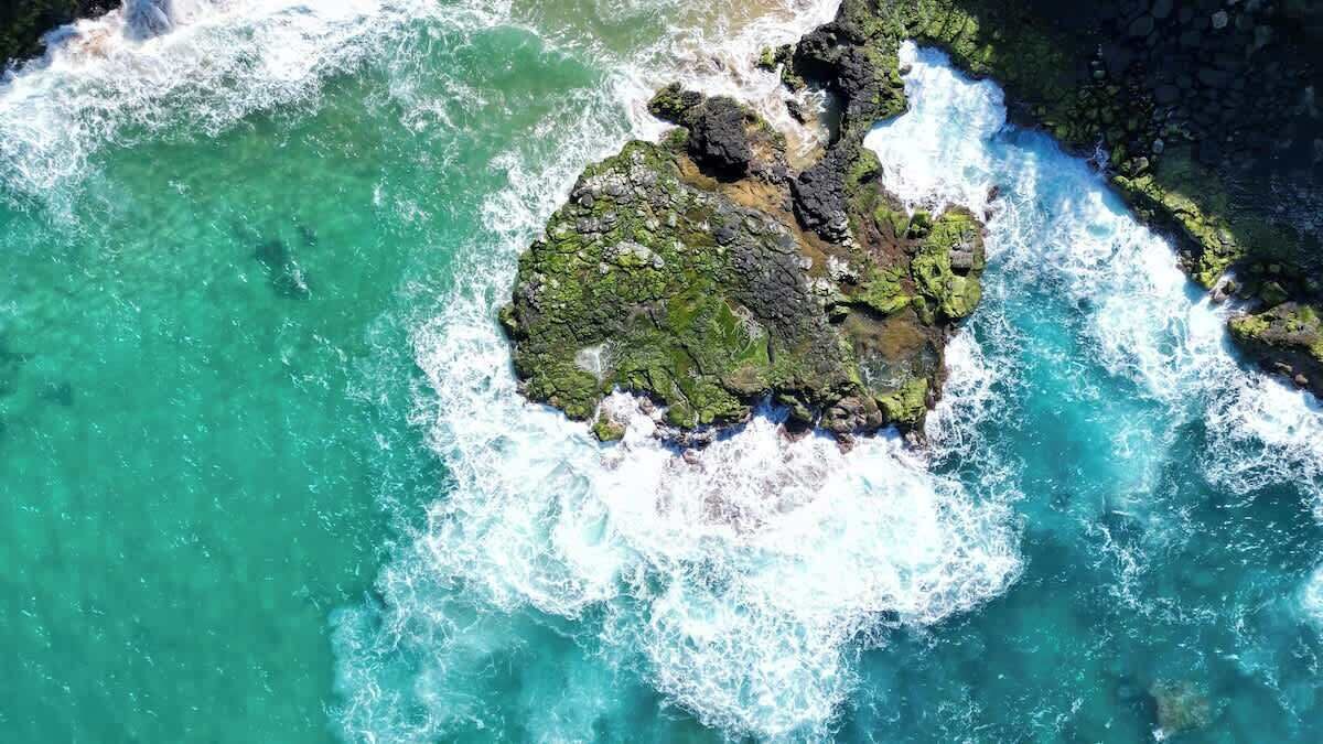 Photo of Others in Wailua
