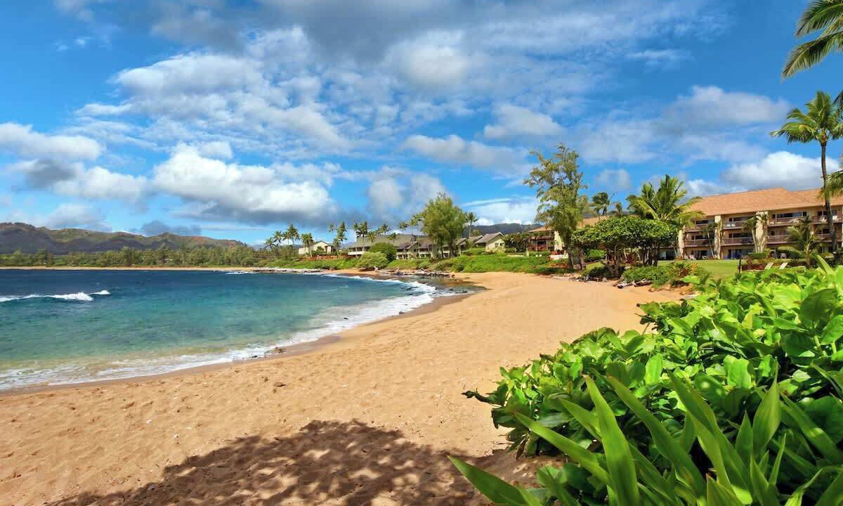 Photo of Others in Wailua