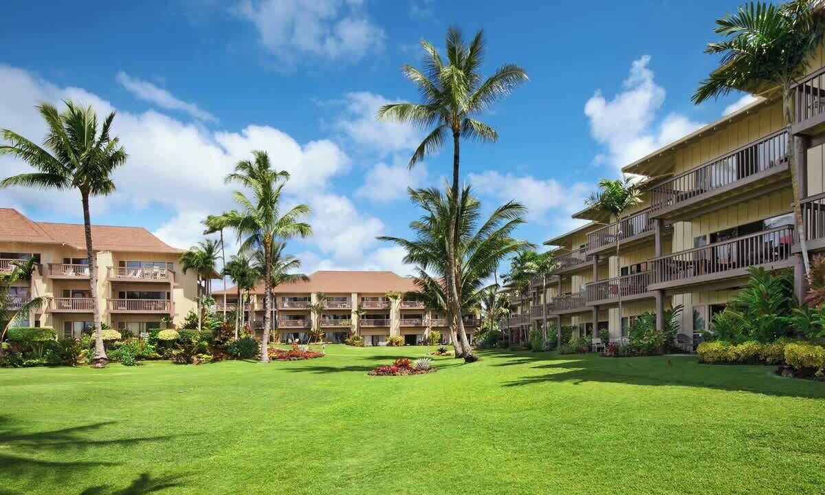 Photo of Outdoor in Wailua