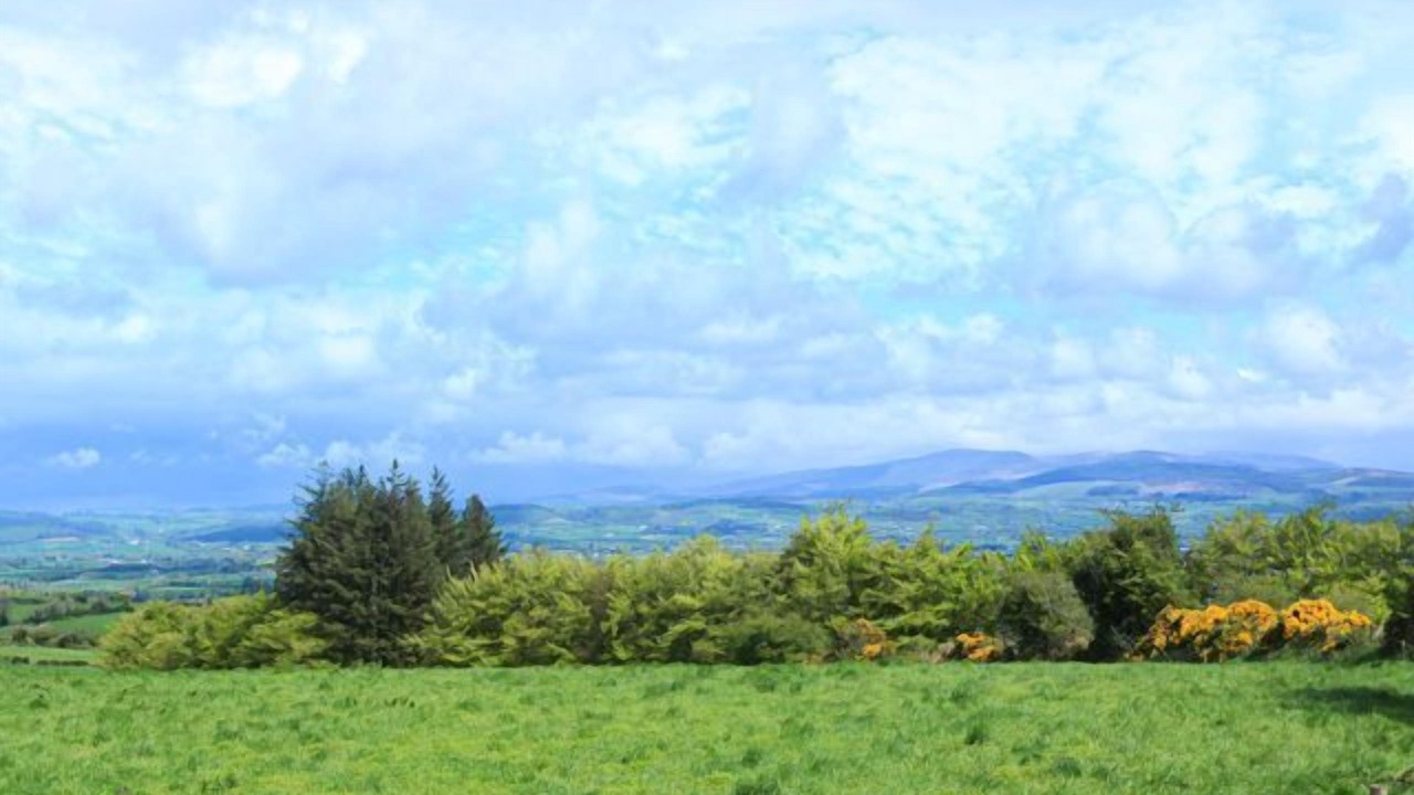 Photo of Others in Dungarvan