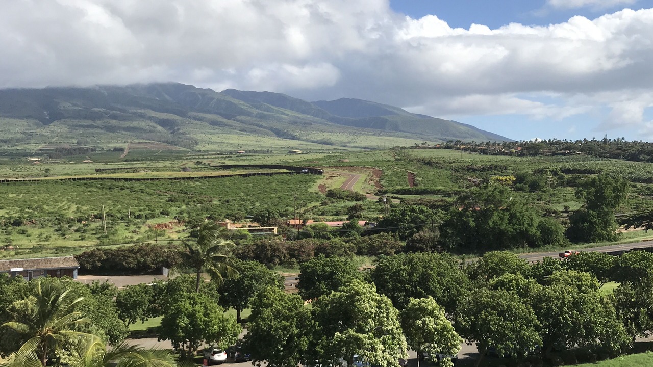 Photo of Outdoor in Lahaina