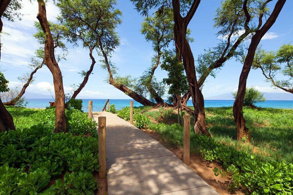 Photo of Outdoor in Lahaina