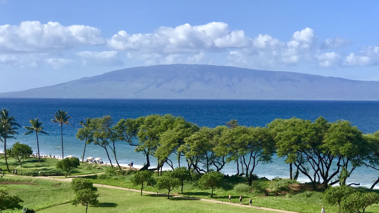 Photo of Others in Lahaina