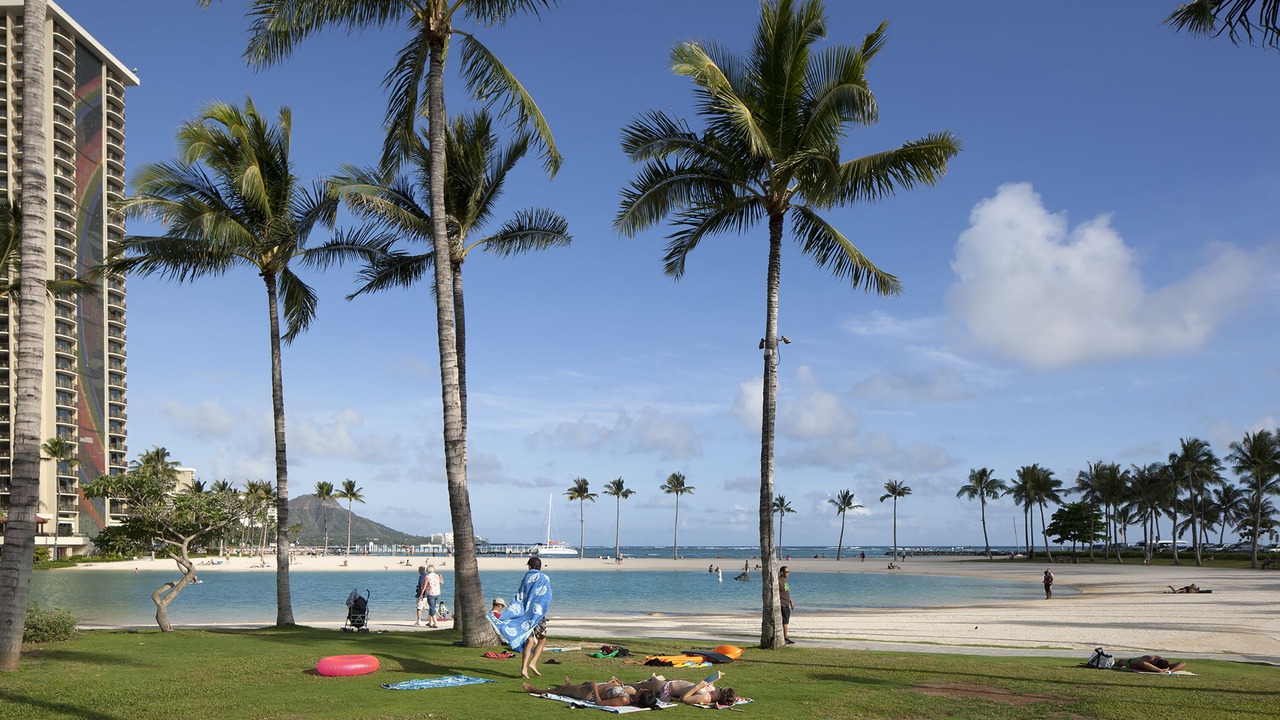 Photo of Others in Waikiki
