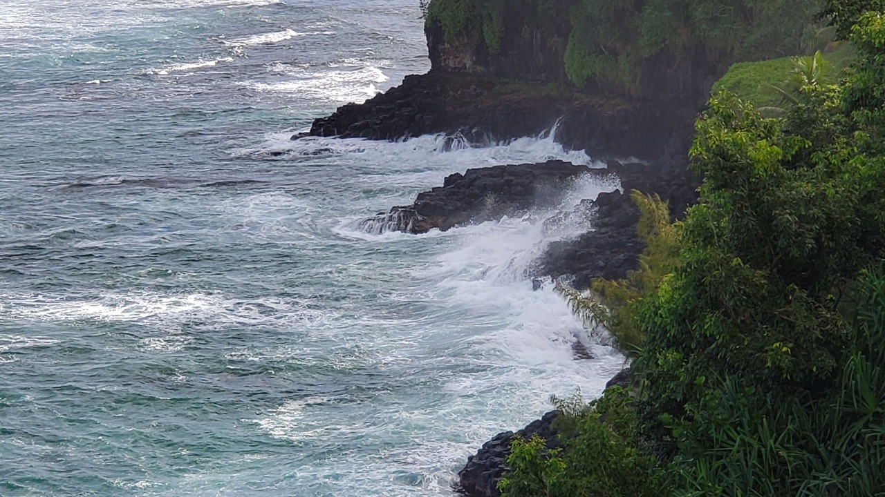 Photo of Others in Princeville
