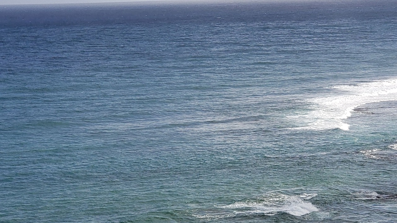Photo of Others in Princeville