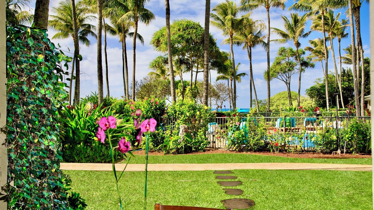 Photo of Outdoor in Kahuku