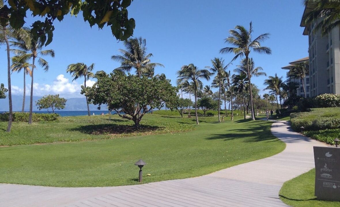 Photo of Others in Honokowai