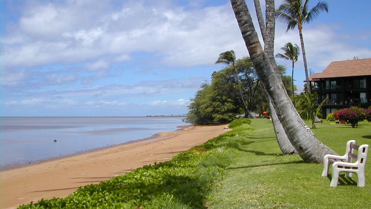 Photo of Others in Kaunakakai