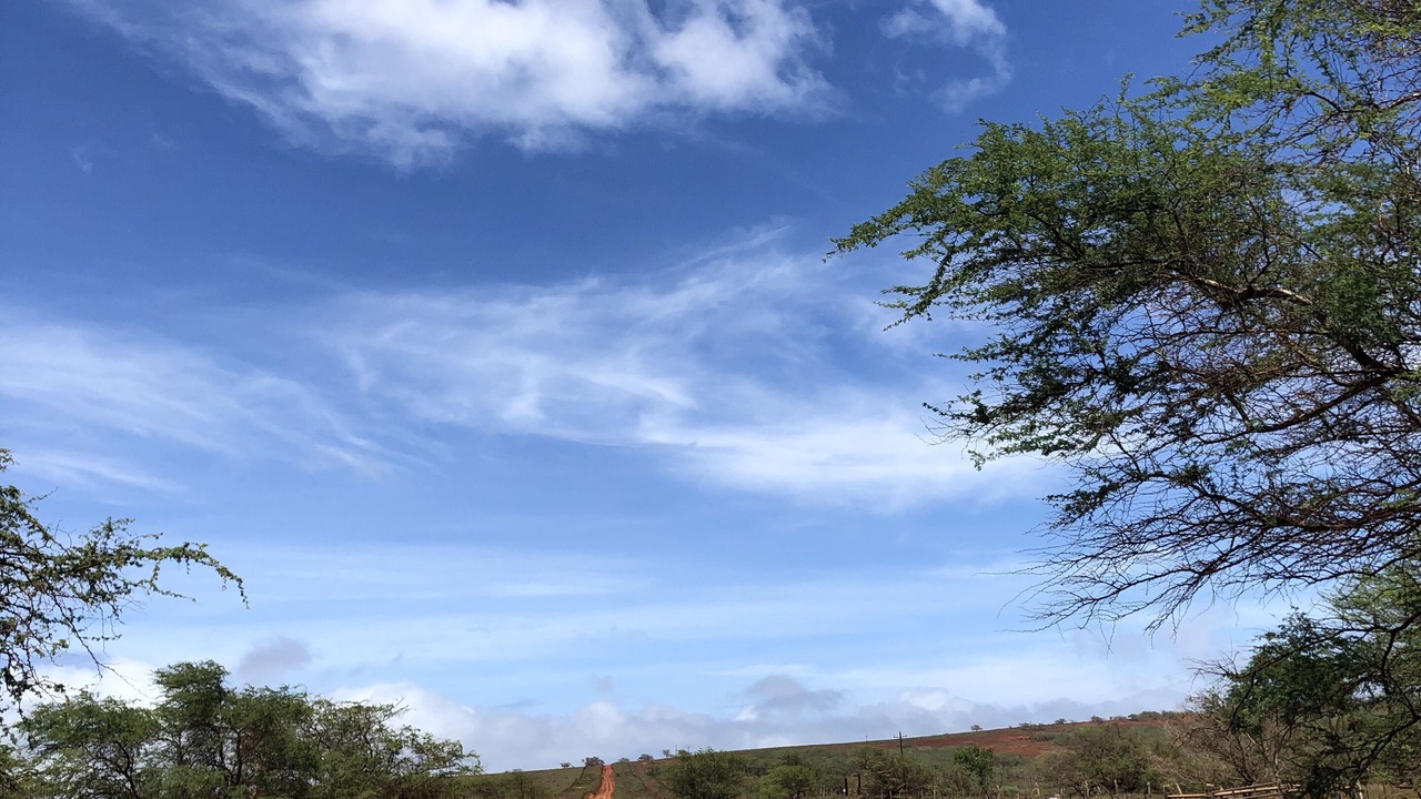 Photo of Others in Kaunakakai