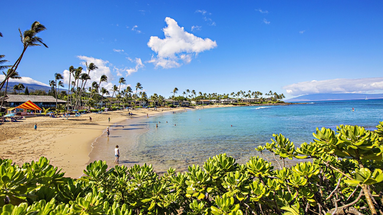 Photo of Others in Napili