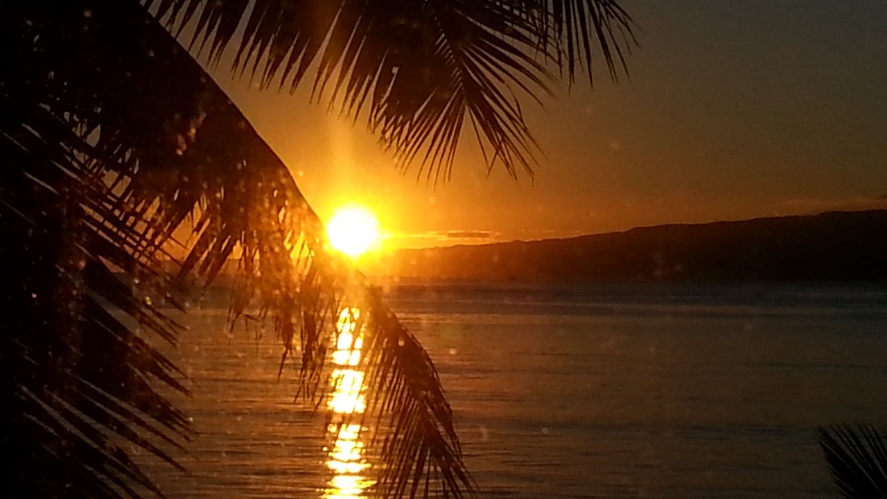 Photo of Others in Kihei