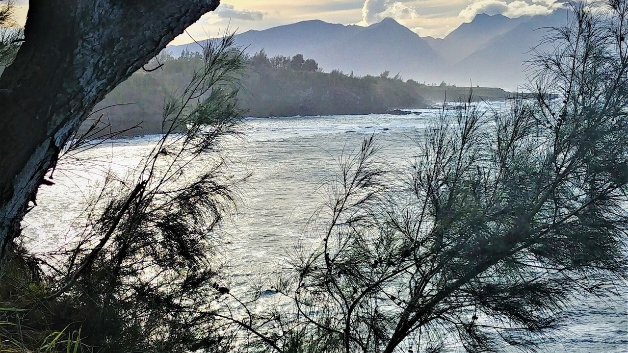 Photo of Others in Kihei