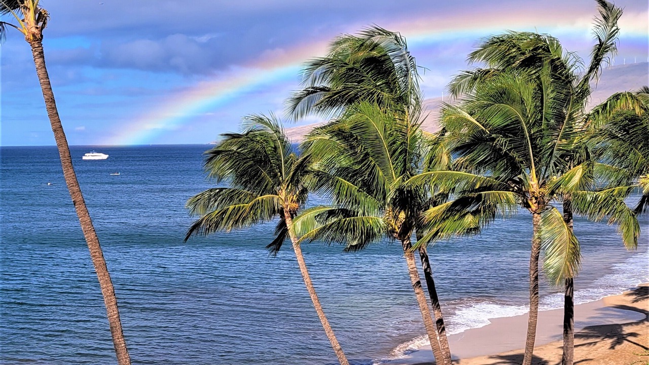 Photo of Others in Kihei