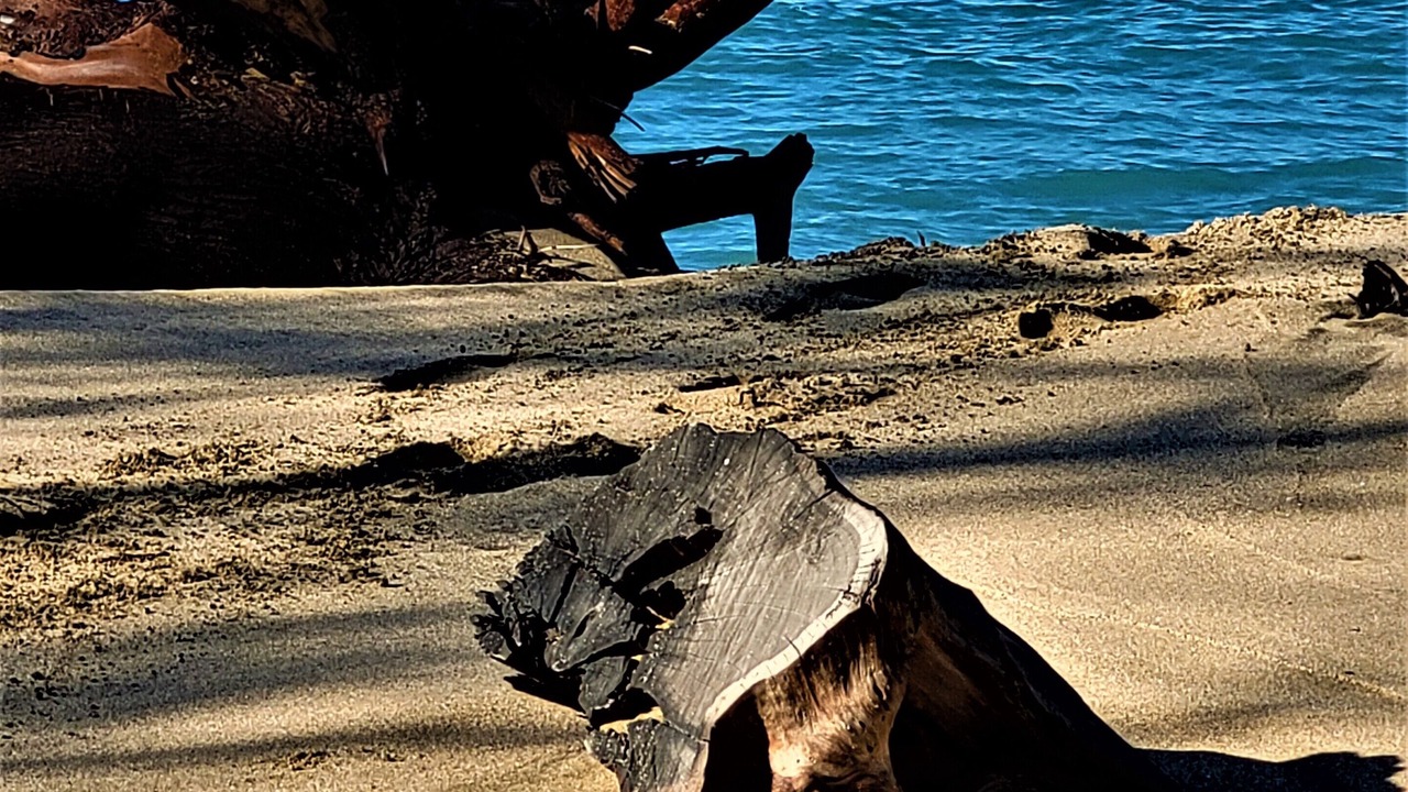 Photo of Others in Kihei
