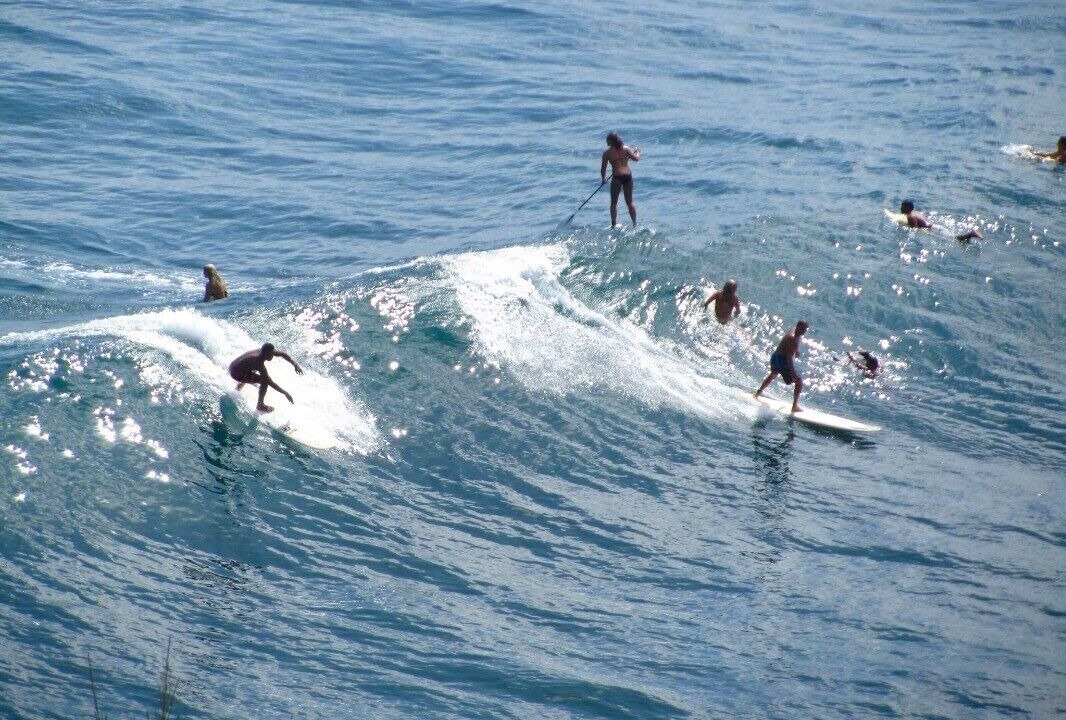Photo of Others in Paukaa
