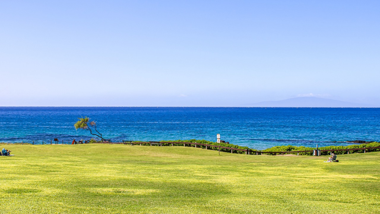 Photo of Others in Kihei