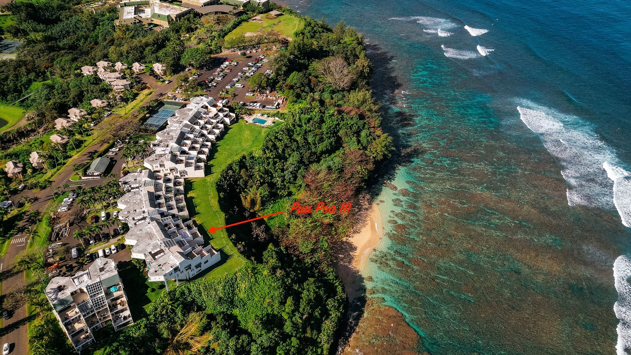 Photo of Others in Princeville