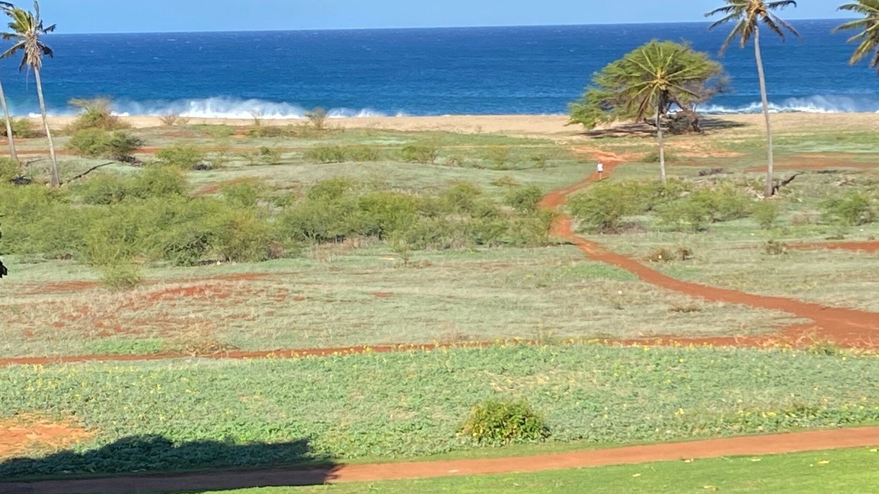 Photo of Outdoor in Maunaloa