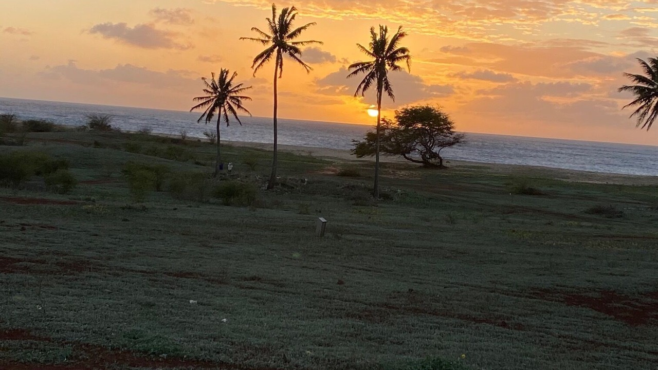 Photo of Others in Maunaloa