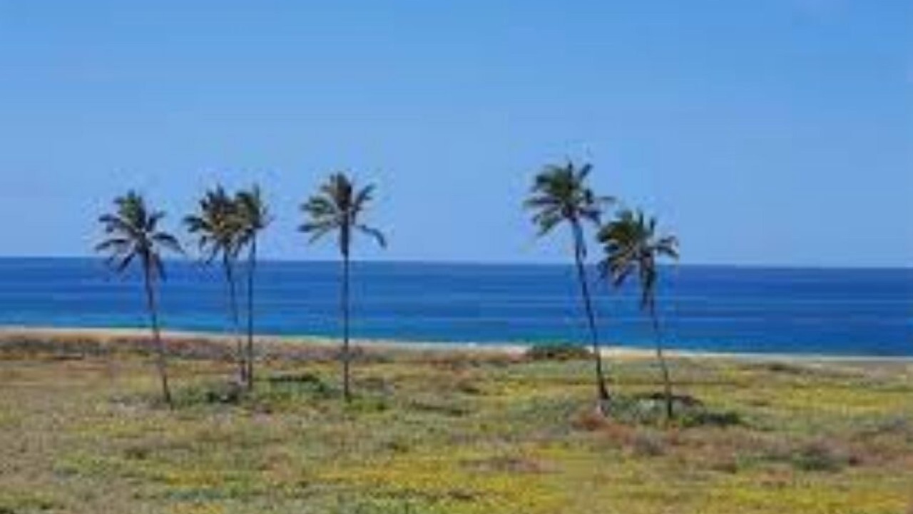 Photo of Others in Maunaloa