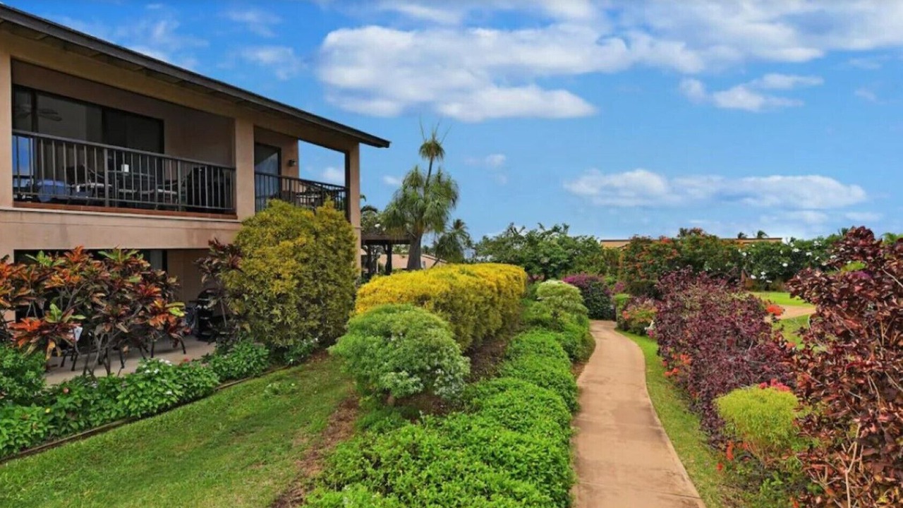 Photo of Outdoor in Wailea