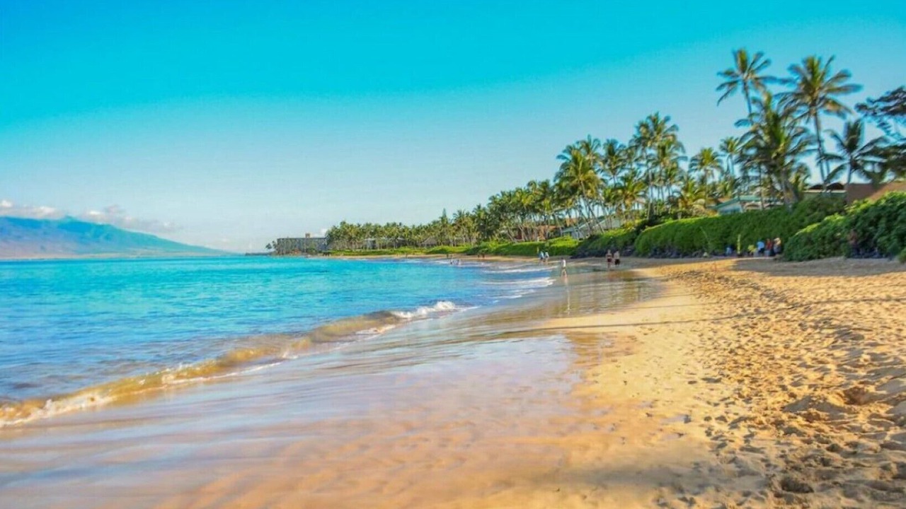 Photo of Others in Wailea