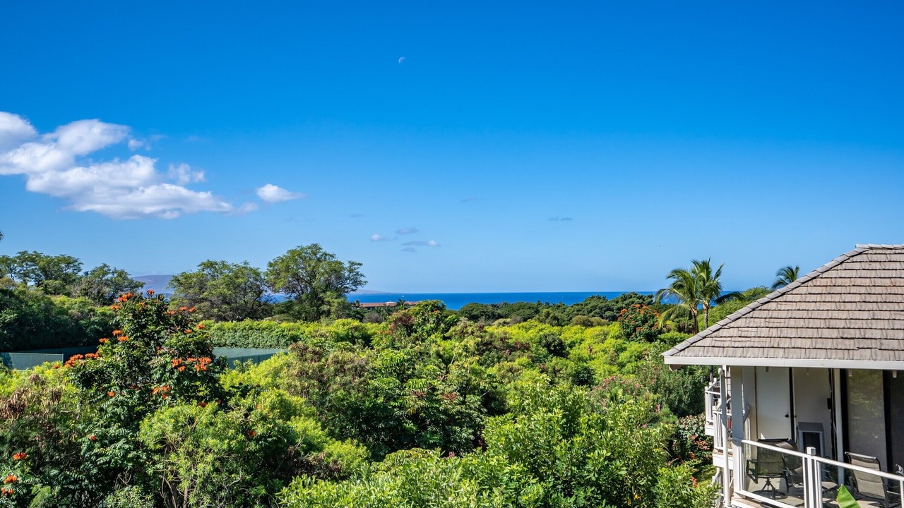 Photo of Others in Wailea